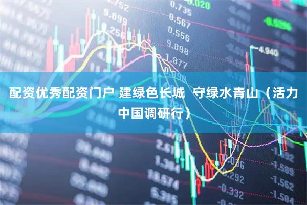 配资优秀配资门户 建绿色长城  守绿水青山（活力中国调研行）